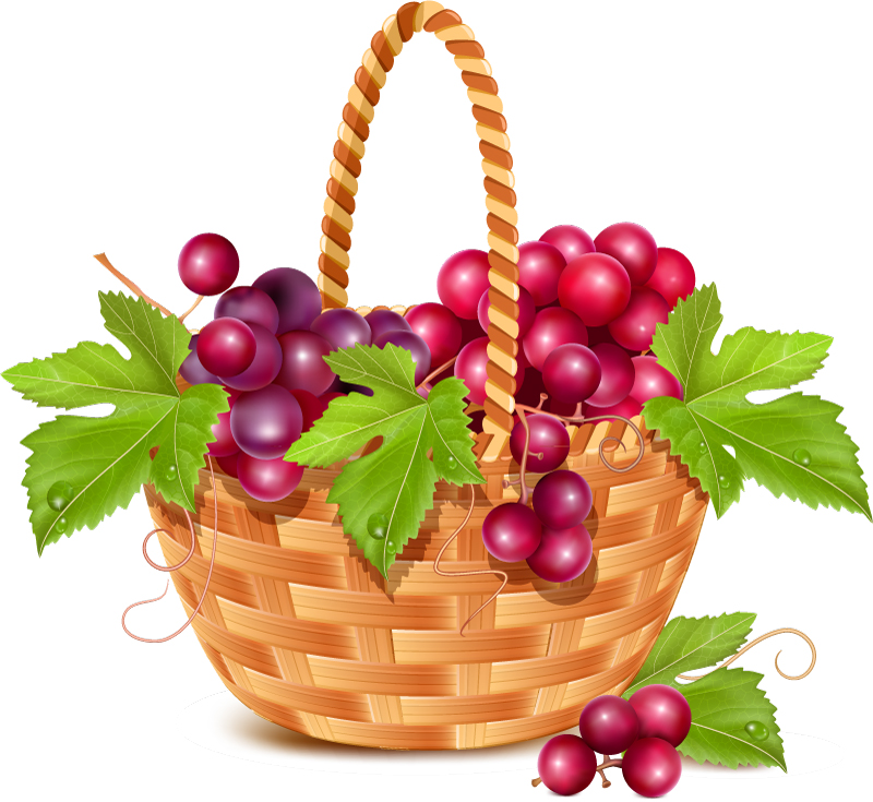 Fruit basket in the grapes vector material
