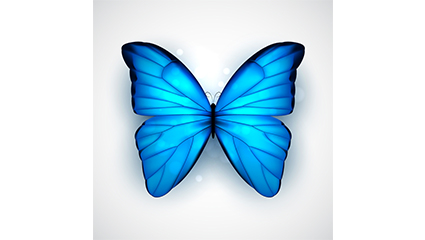 Beautiful blue butterfly vector material