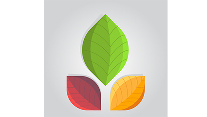 3 color leaf design vector material