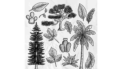 14 painted plants and leaves design vector