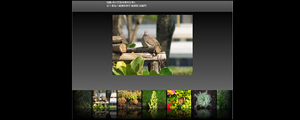 Flash + xml exquisite picture display program