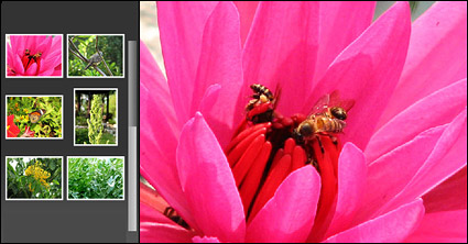flash + xml album practical source