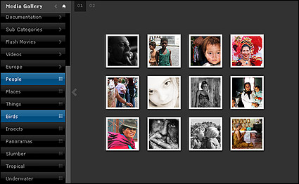 flash multimedia content to display material components