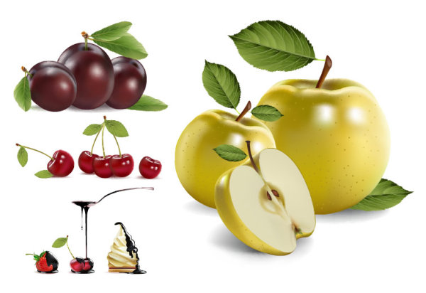 4 real fruit Vector