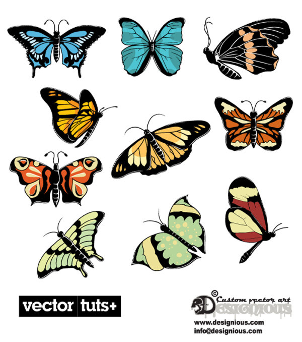 Beautiful butterflies - vector