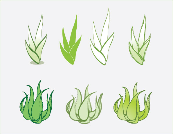 Aloe vector material