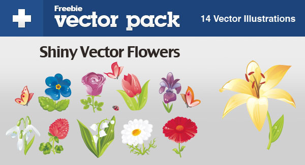 Beautiful flowers - vector
