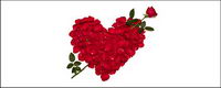 Rose petals composed of heart-shaped picture material