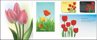 Tulips vector of material