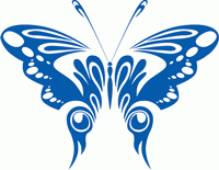 Fashion Butterfly Vector material