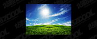 Grass sky picture material-3