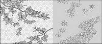 Vector line drawing of flowers-34(Maple Leaf)