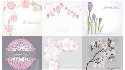 Pure flower background - vector material