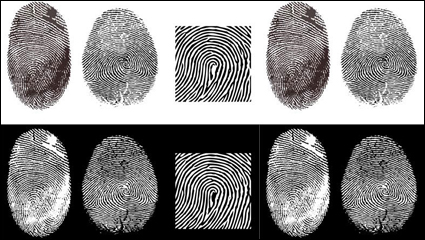 Fingerprint vector material -2