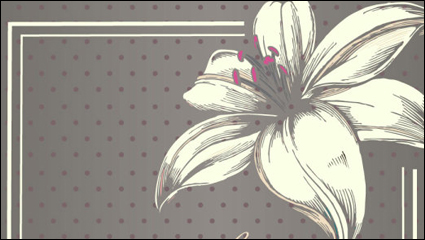 Fine pattern border background 04 - vector