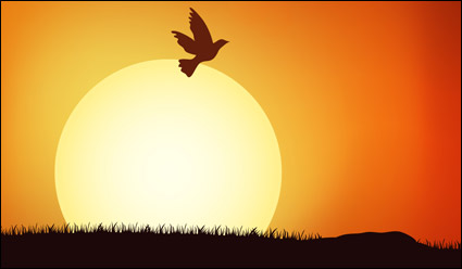 bird populations under the Sunset vector material