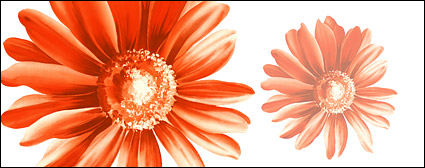 Hand-painted flowers layered material psd-12